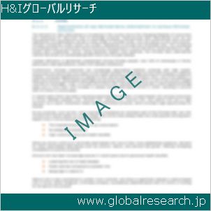 グローバルリサーチ調査レポートのイメージ
